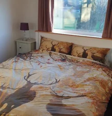 別荘 Badger's House, Willow Close, ファイリー