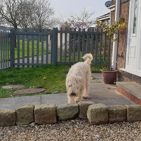 Badger's House, Willow Close, Filey